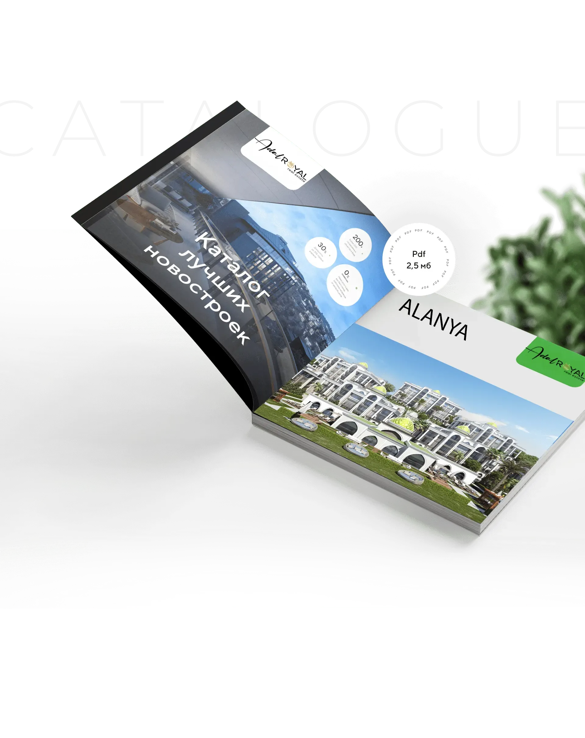 Catalog Mockup